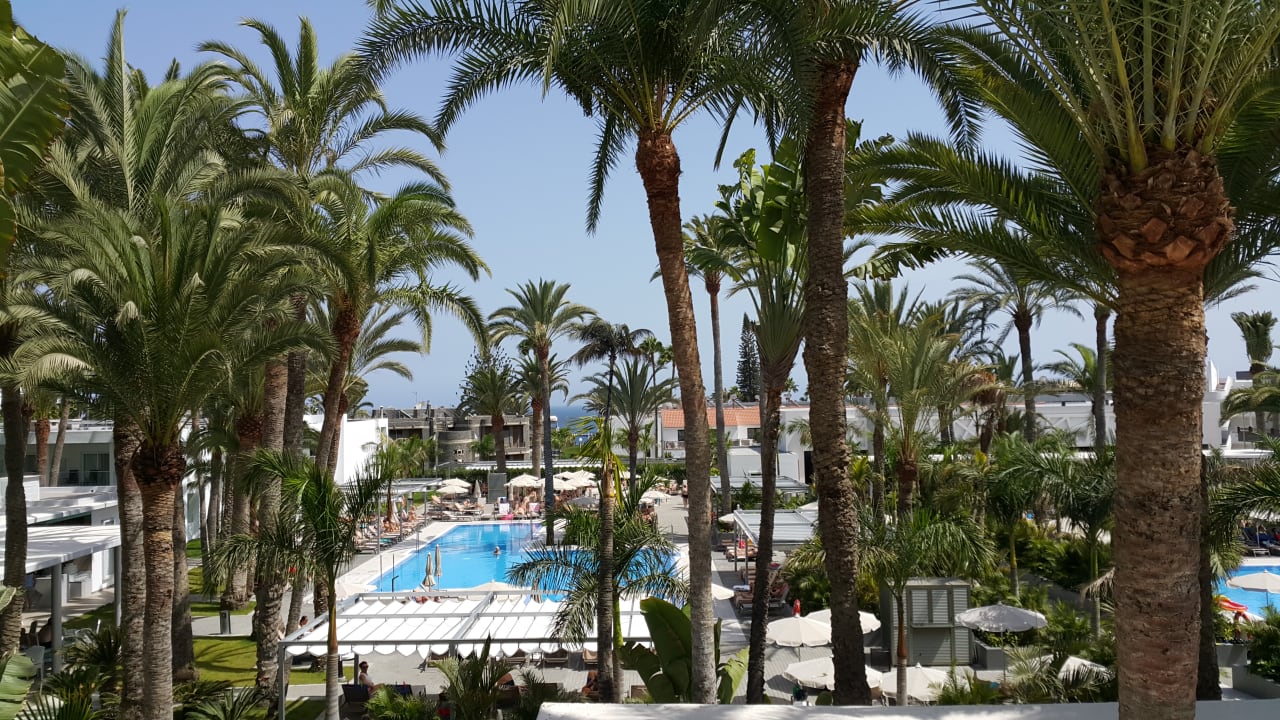 Ausblick Hotel Riu Palace Palmeras