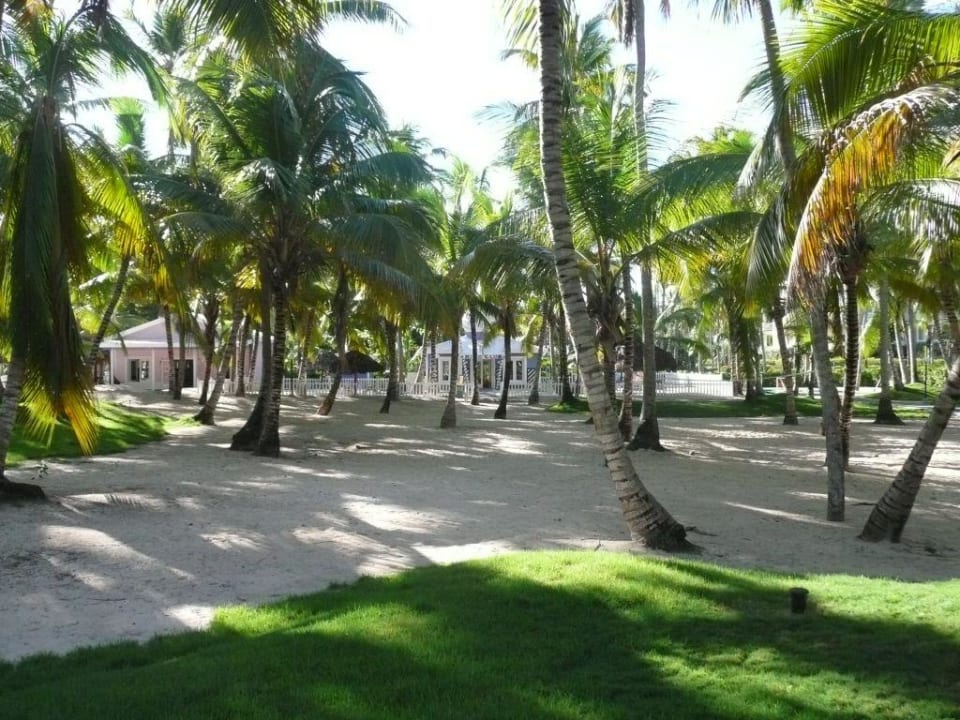 Blick zum Miniclub Hotel Riu Bambu