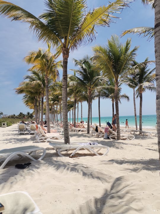 Strand Hotel Riu Dunamar