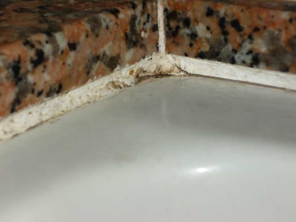 Schimmel  Hotel Pinoverde del Golf