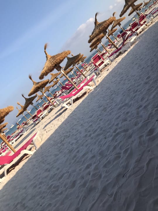 Strand Alcudia Garden Aparthotel