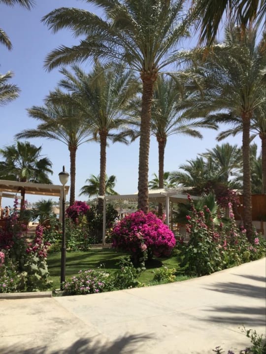 Gartenanlage Brayka Bay Resort