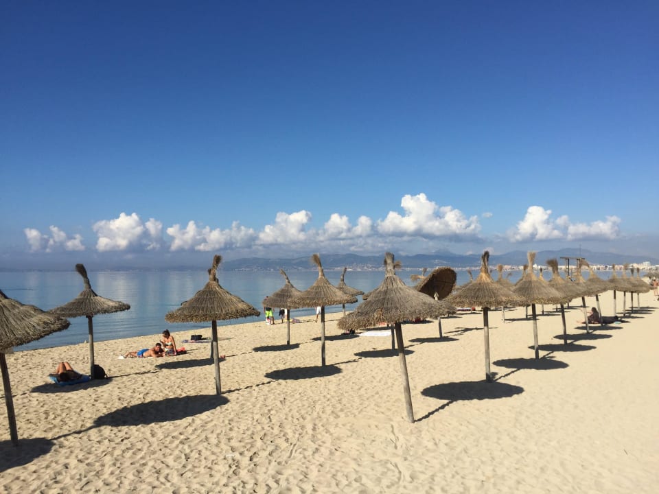 Hotel-Strand am 2. November Hotel Playa Golf