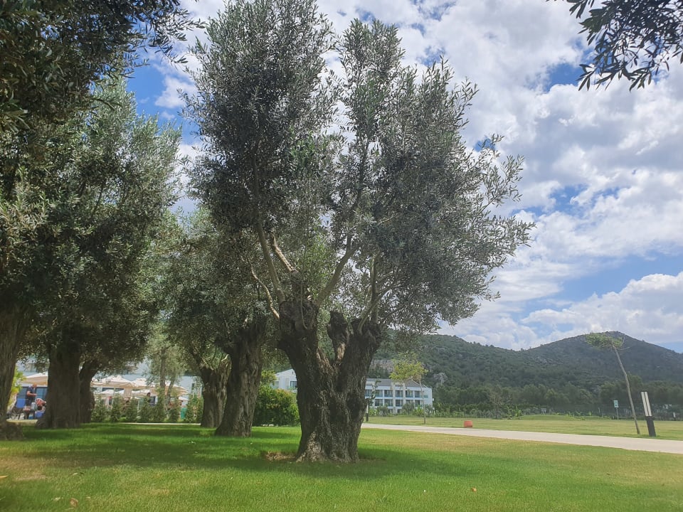 Gartenanlage Korumar Ephesus Beach & Spa Resort