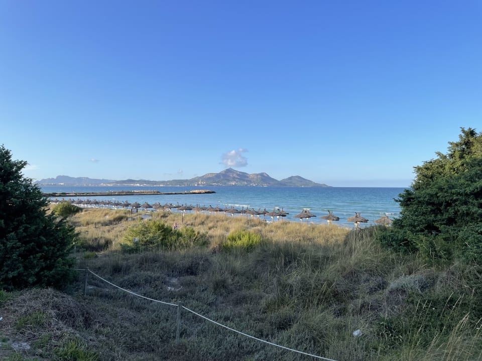 Gartenanlage Grupotel Natura Playa