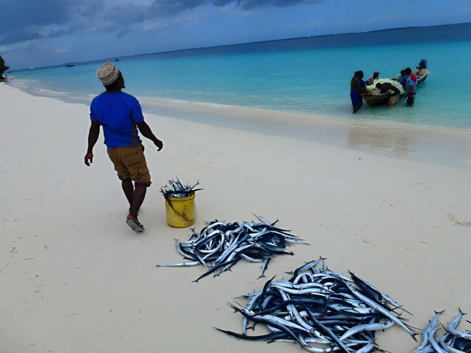 Sonstiges Motiv Hotel Riu Palace Zanzibar