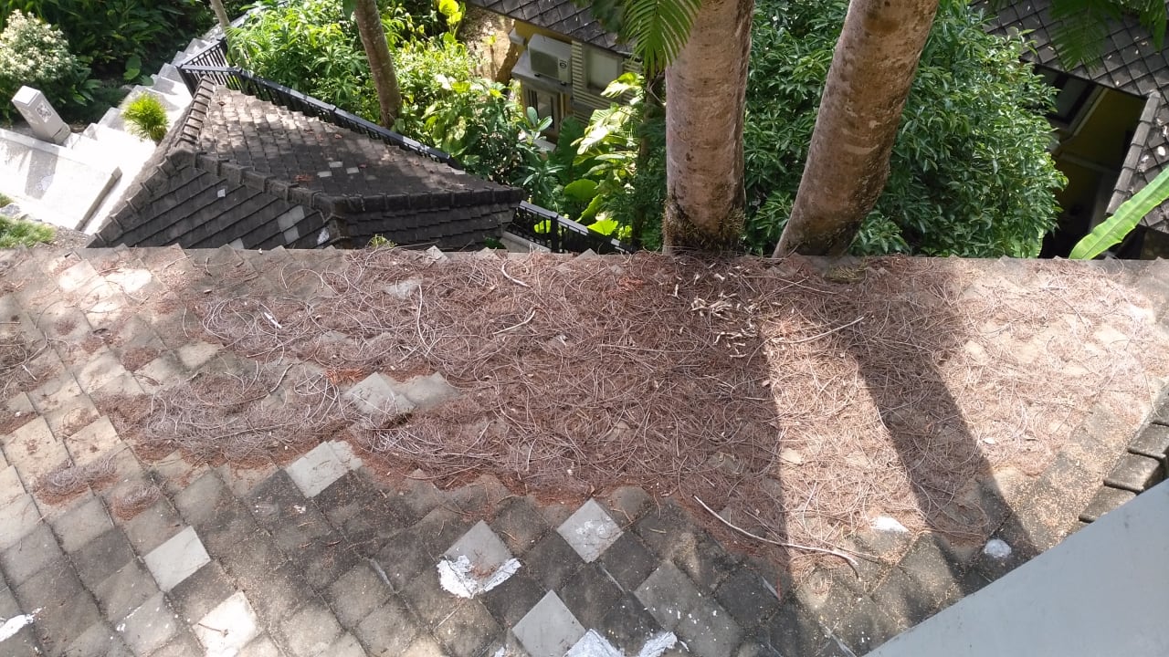 Ausblick Moracea by Khao Lak Resort