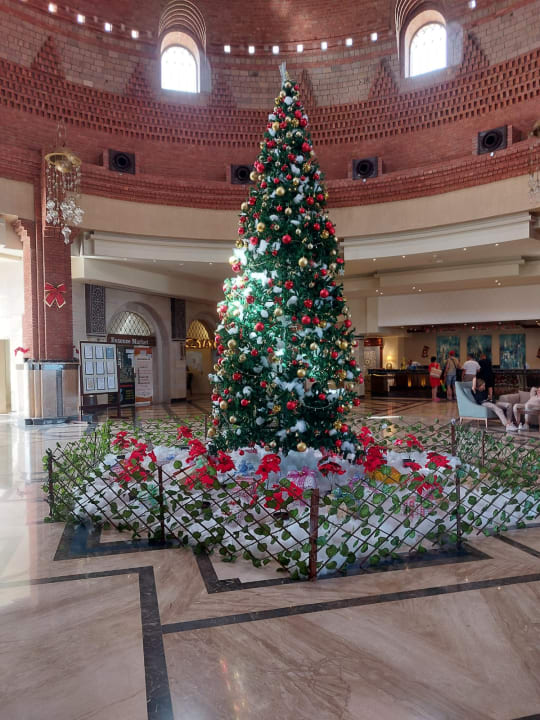Lobby Lazuli Hotel Marsa Alam