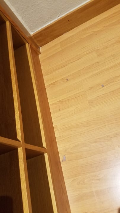 Zimmer Maspalomas Princess