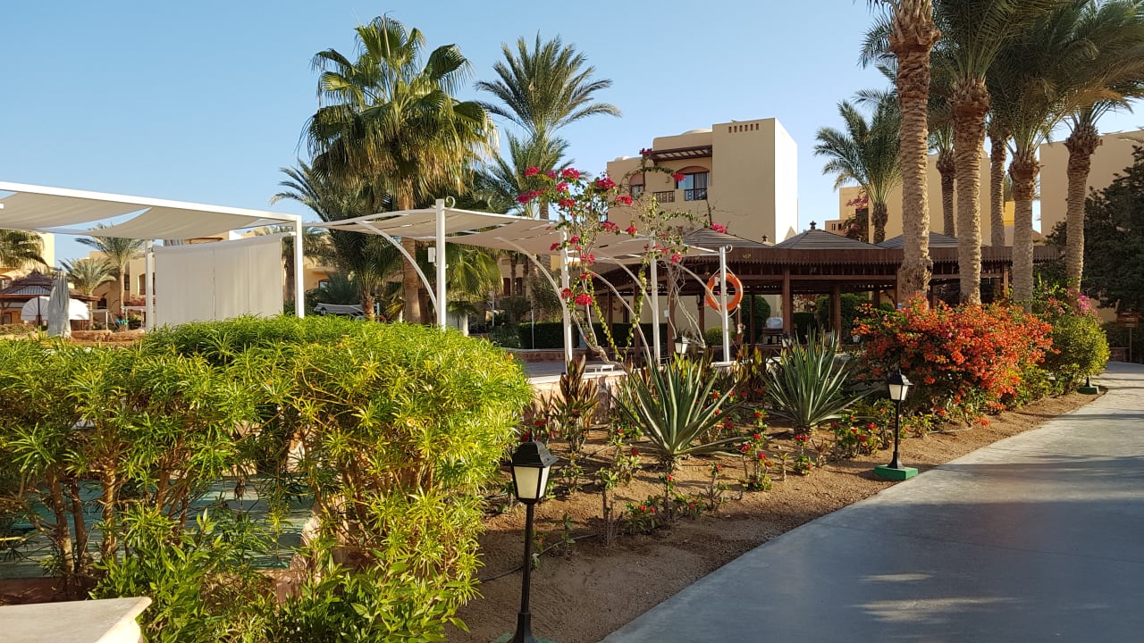 Gartenanlage Steigenberger Coraya Beach - Adults only