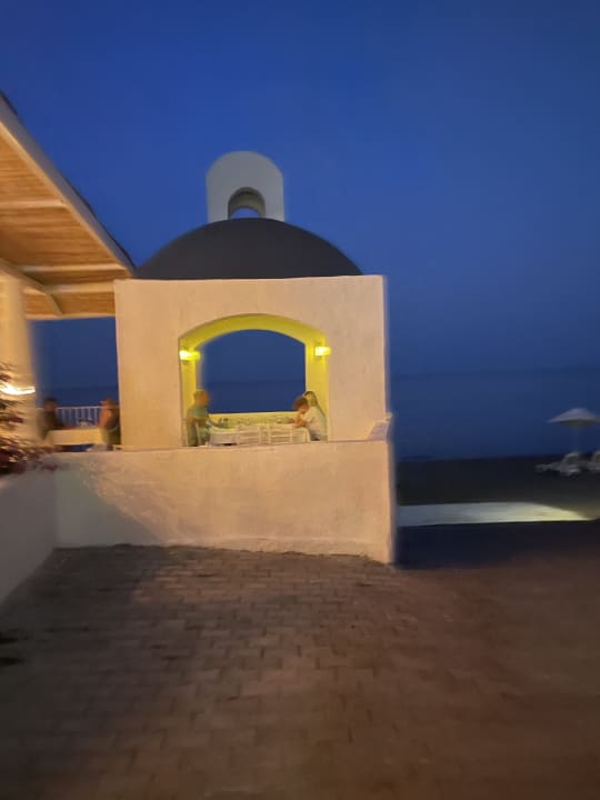 Sonstiges Paloma Pasha