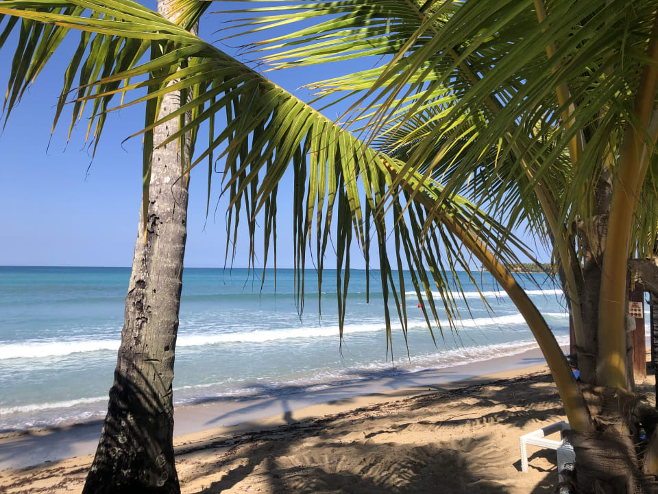 Strand Viva V Samana by Wyndham – Adults Only