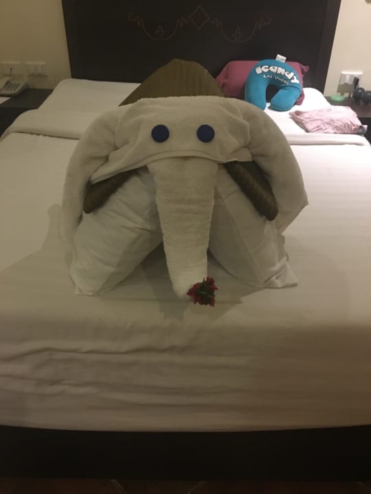 Zimmer Three Corners Sea Beach Resort