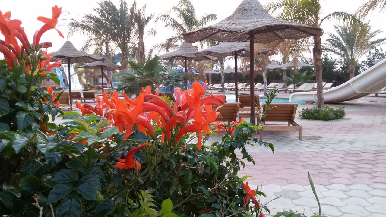 Pool Three Corners Sea Beach Resort