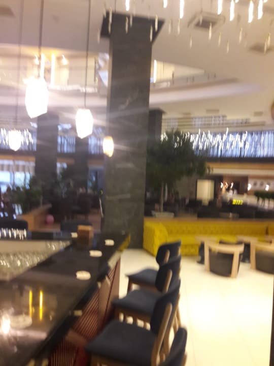 Gastro Seashell Vega