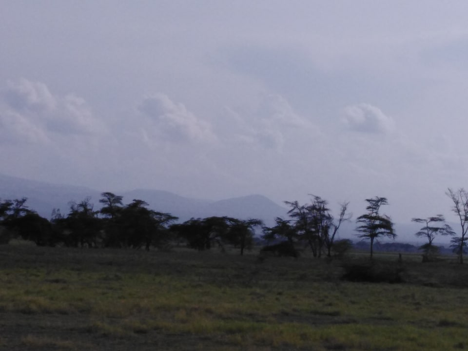 Ausblick Ol Tukai Lodge