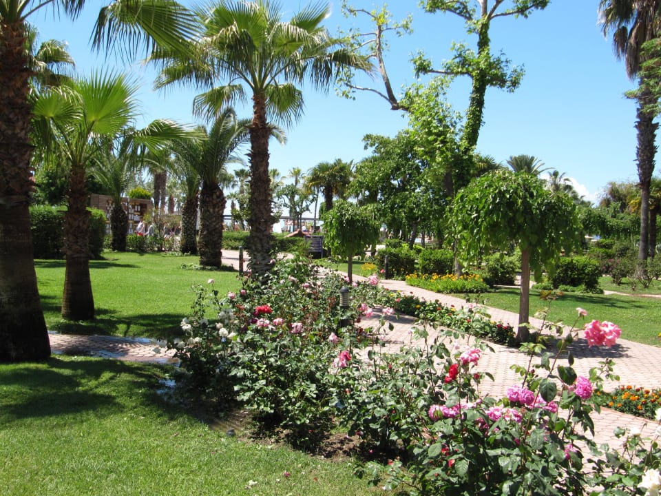Wunderschöne Rosenbeete Club Tuana Fethiye