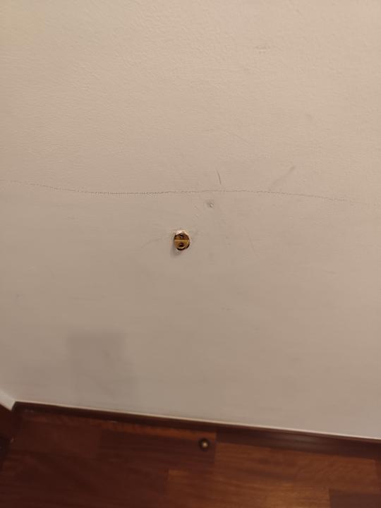 Zimmer Legendary Lisboa Suites