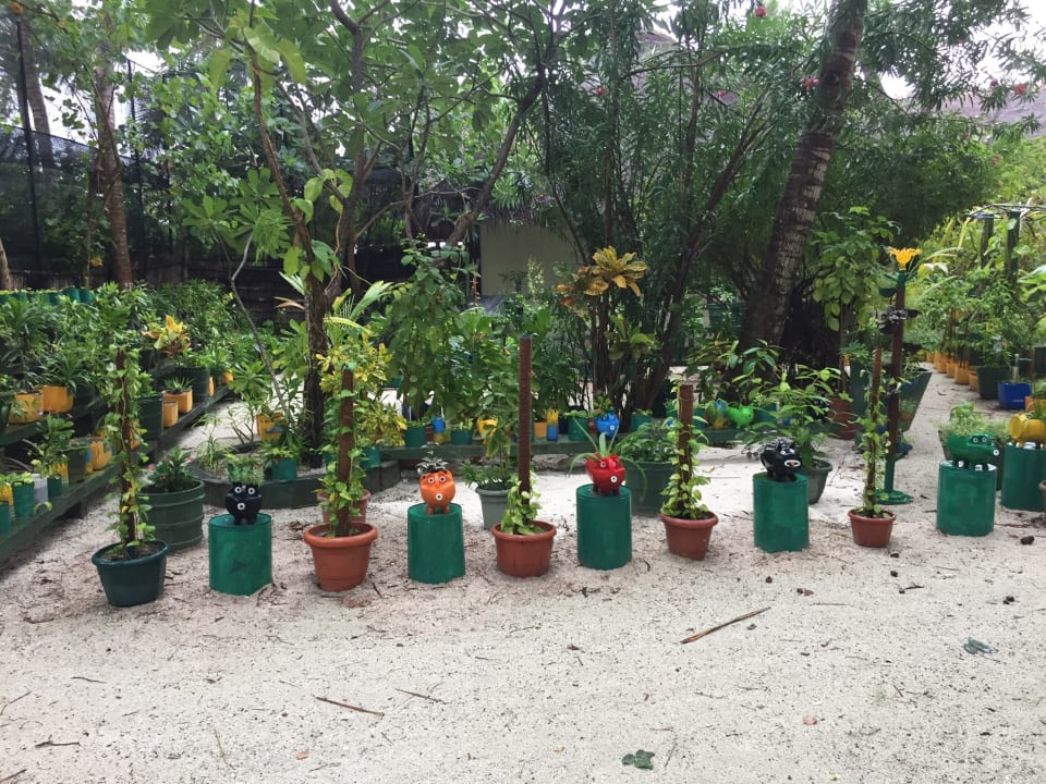 Gartenanlage Summer Island Maldives