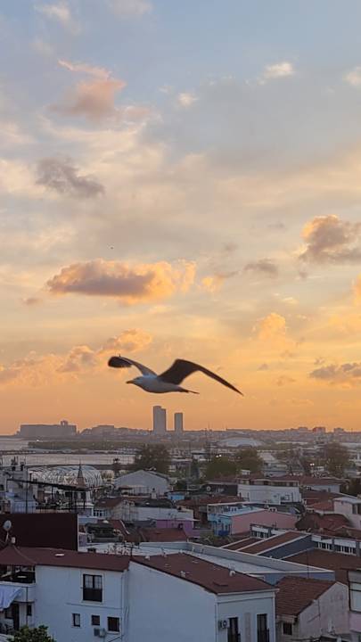 Ausblick Miss Royal Hotel & SPA