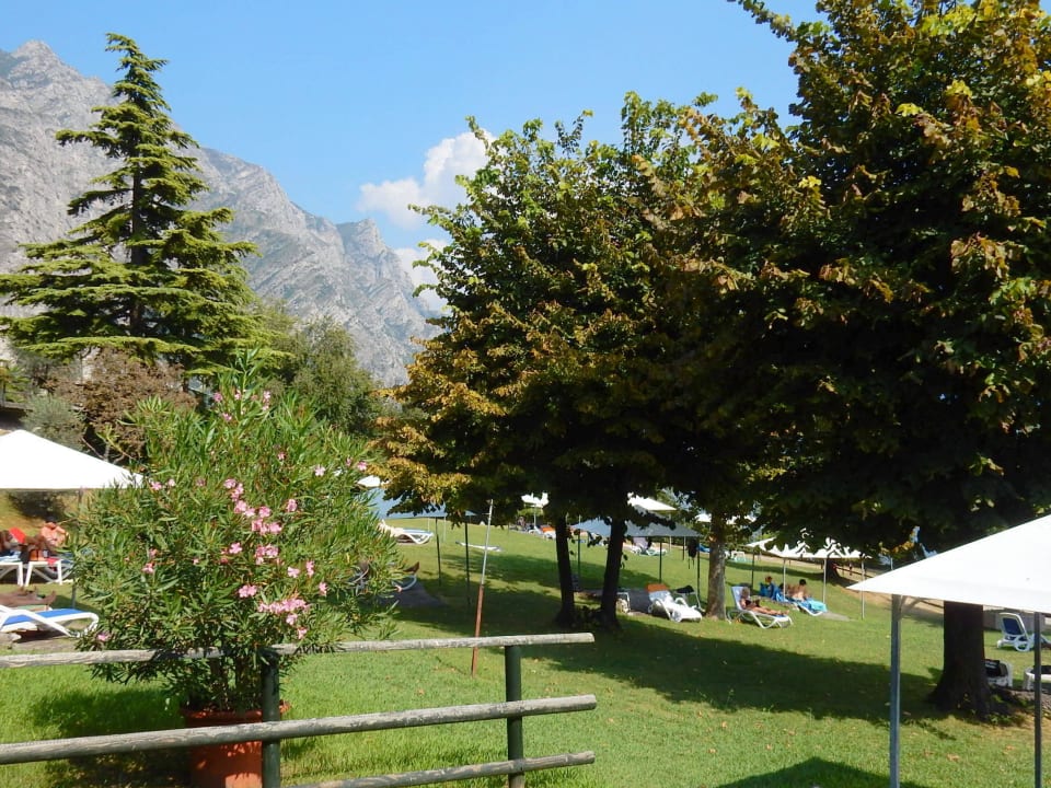 Hoteleigene Liegewiese Hotel Sogno del Benaco