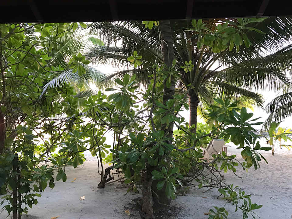 Strand Summer Island Maldives