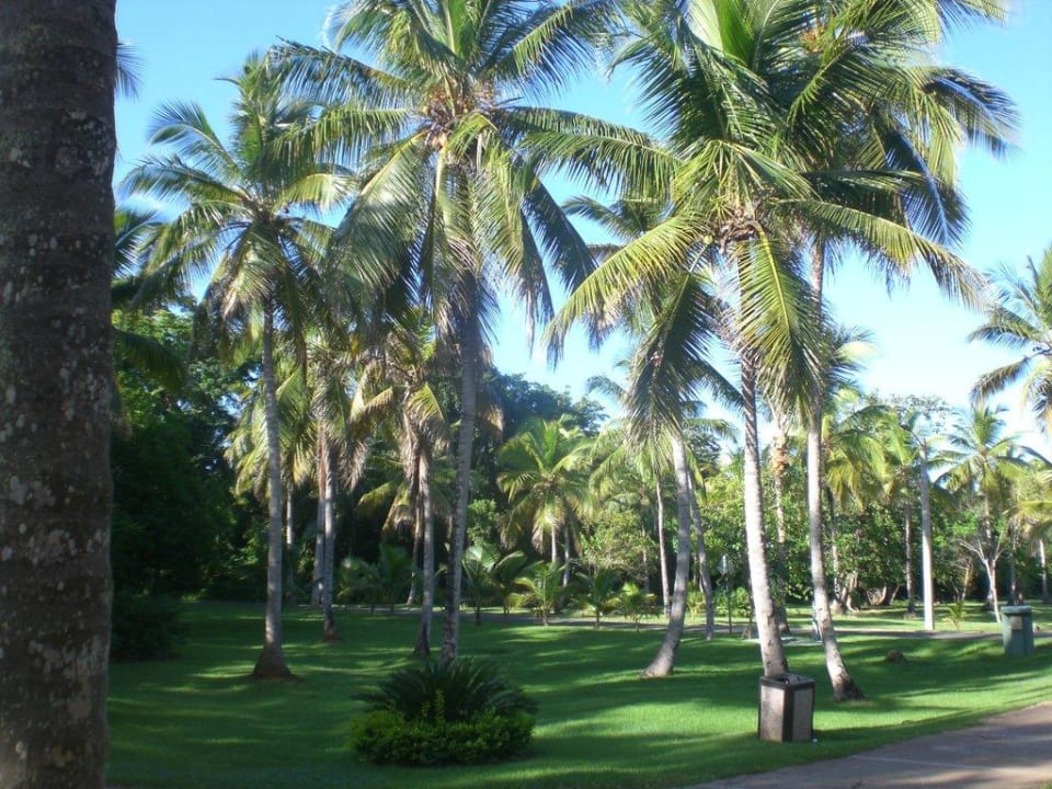 Mein Blick vom Balkon Wyndham Alltra Samana