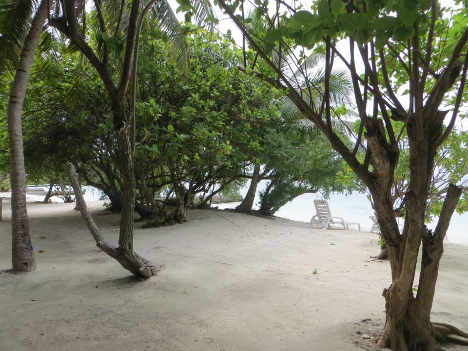 Spaziergang am Strand und den Beachvillen Adaaran Select Hudhuran Fushi - Premium All Inclusive