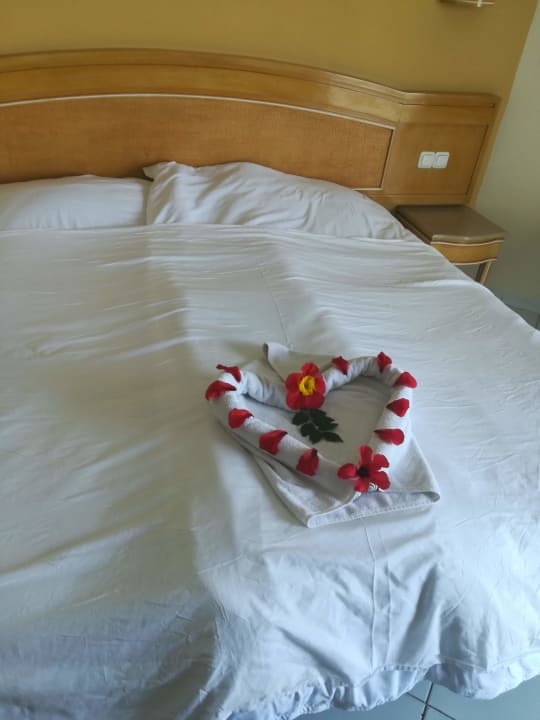 Zimmer Hammamet Garden Resort & Spa