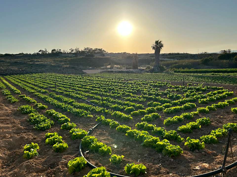 Sonstiges Riviera Spa Resort - Adults Only