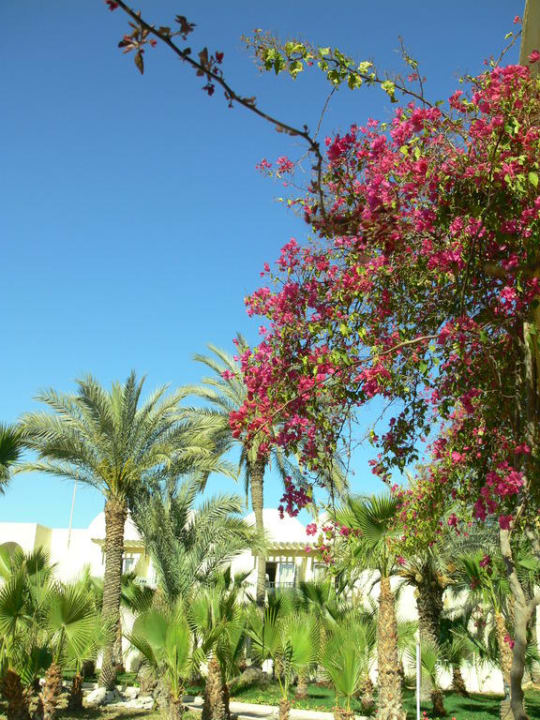 Jardin The Ksar Djerba Charming Hotel & SPA