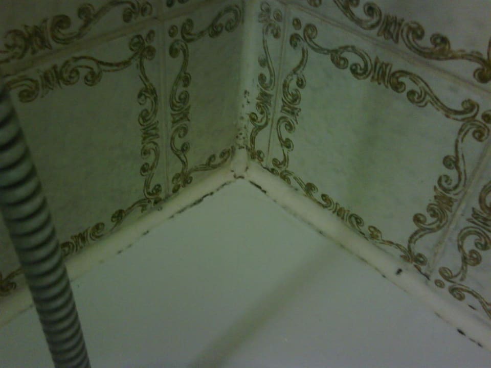 Bad Hotel Excelsior Ludwigshafen