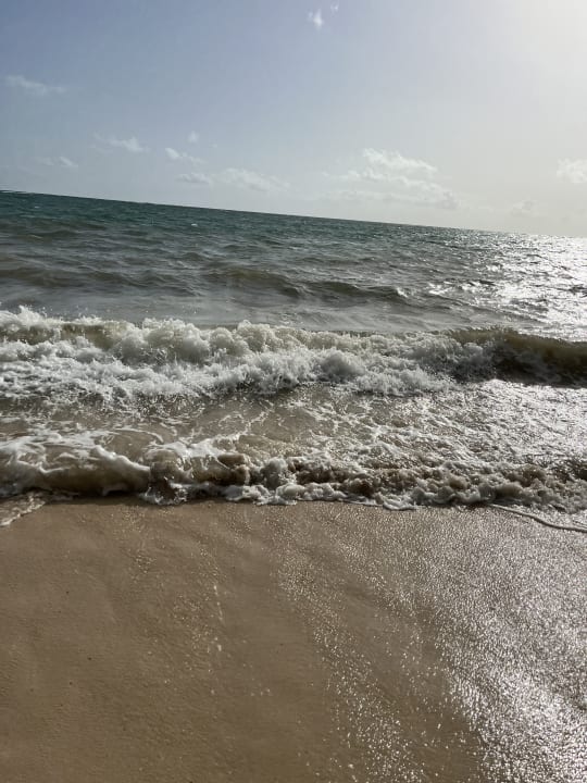 Strand TRS Turquesa Hotel - Adults only