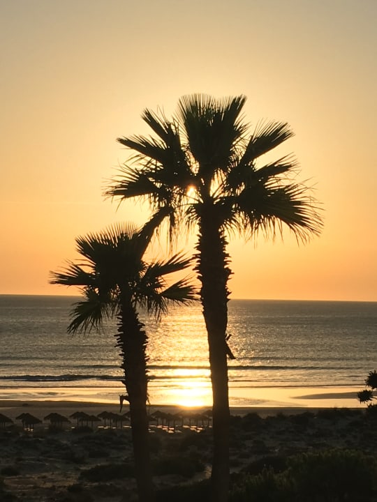 Ausblick Iberostar Waves Royal Andalus
