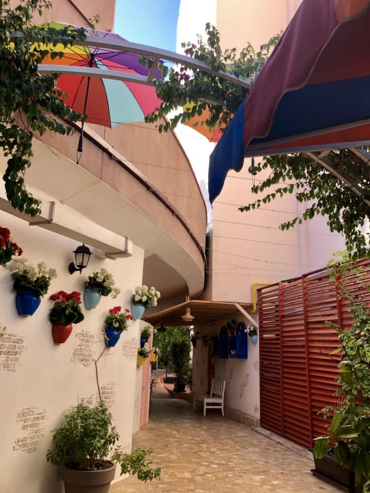 Gartenanlage Hane Family Resort