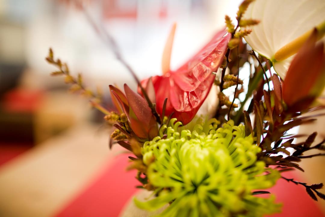 Zimmer Schneeweiss Lifestyle Apartments