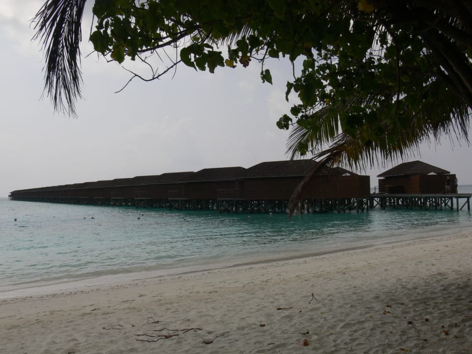 Meeru Island Resort Meeru Maldives Resort Island