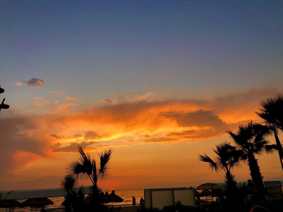 Ausblick Palm Wings Kusadasi Beach Resort & Spa