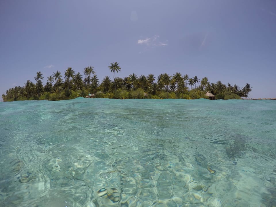 Insel vom Wasser aus Filitheyo Island Resort