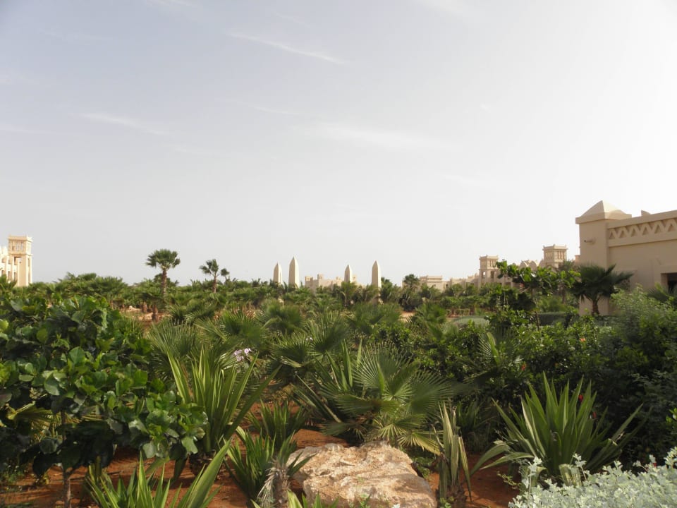 Ein kleiner Teil des Gartens Hotel Riu Touareg