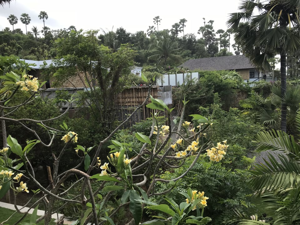 Ausblick Shunyata Villas Bali