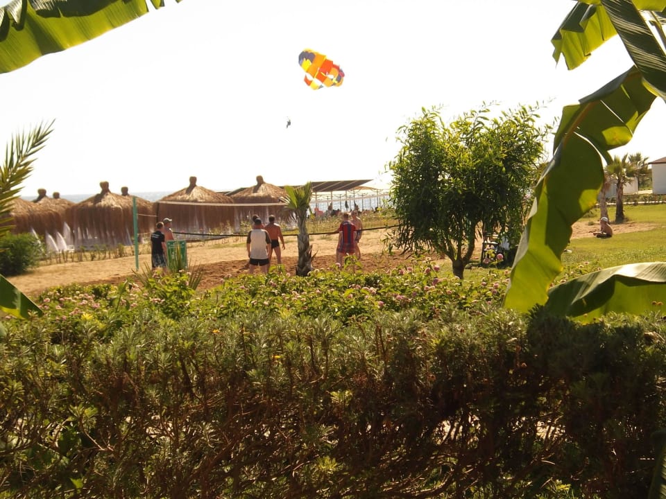 Volleyball Bella Resort & Spa