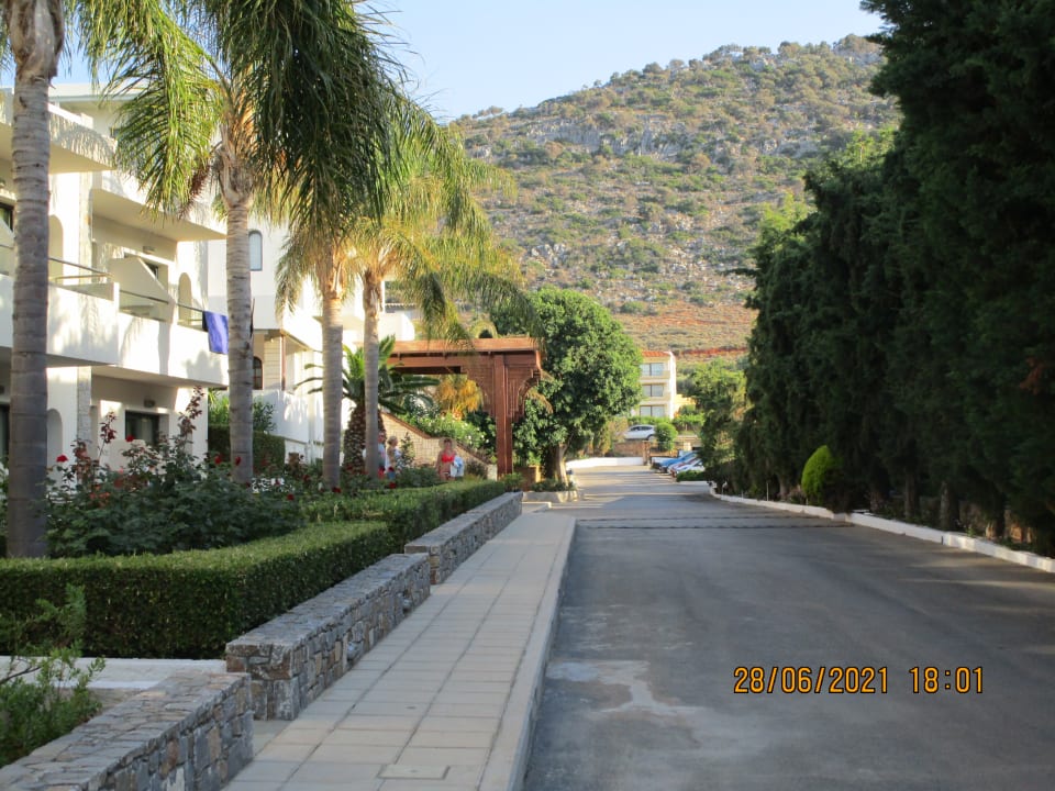 Gartenanlage Sentido Kyknos Beach Adults Only 16+