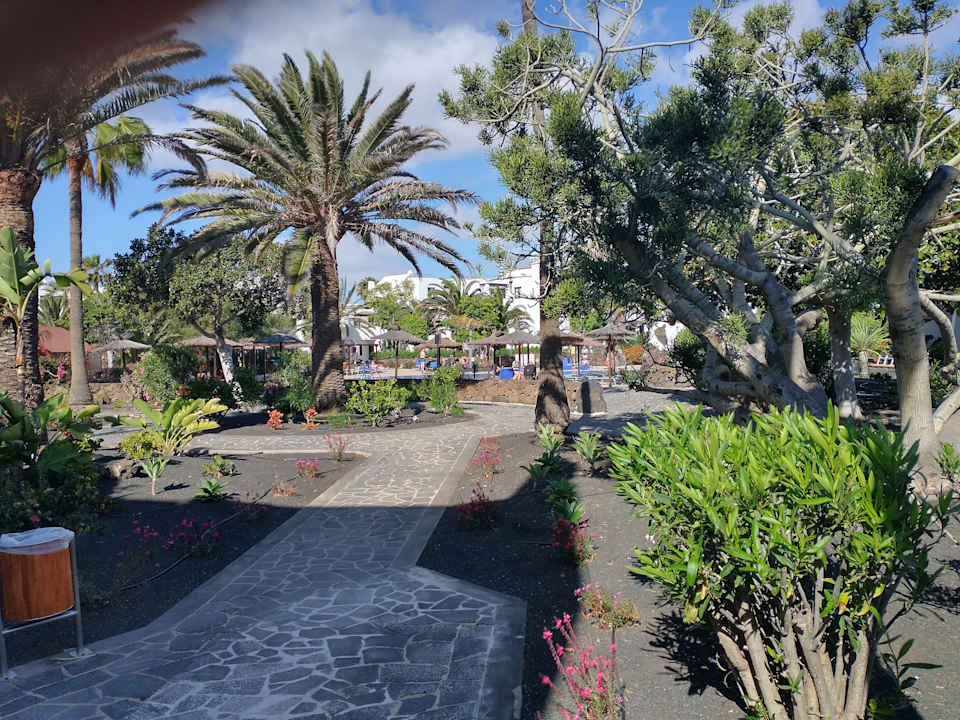 Gartenanlage allsun App.-Hotel Albatros