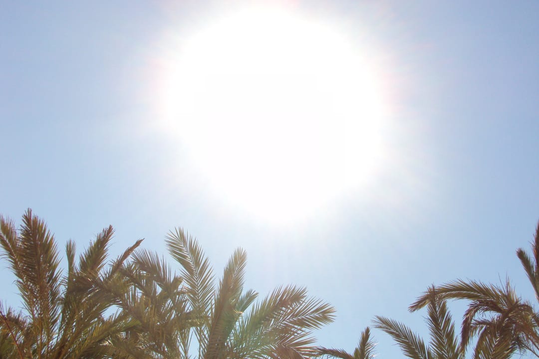 Blick in die Sonne Calimera Fido Gardens