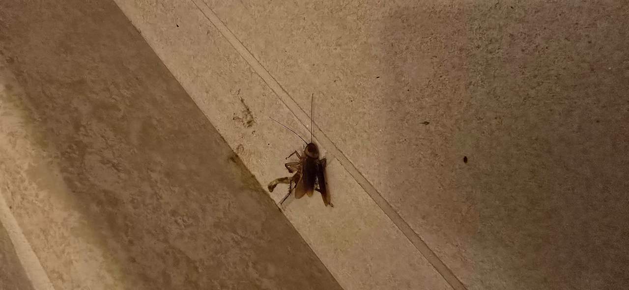 Zimmer Creta Maris Resort