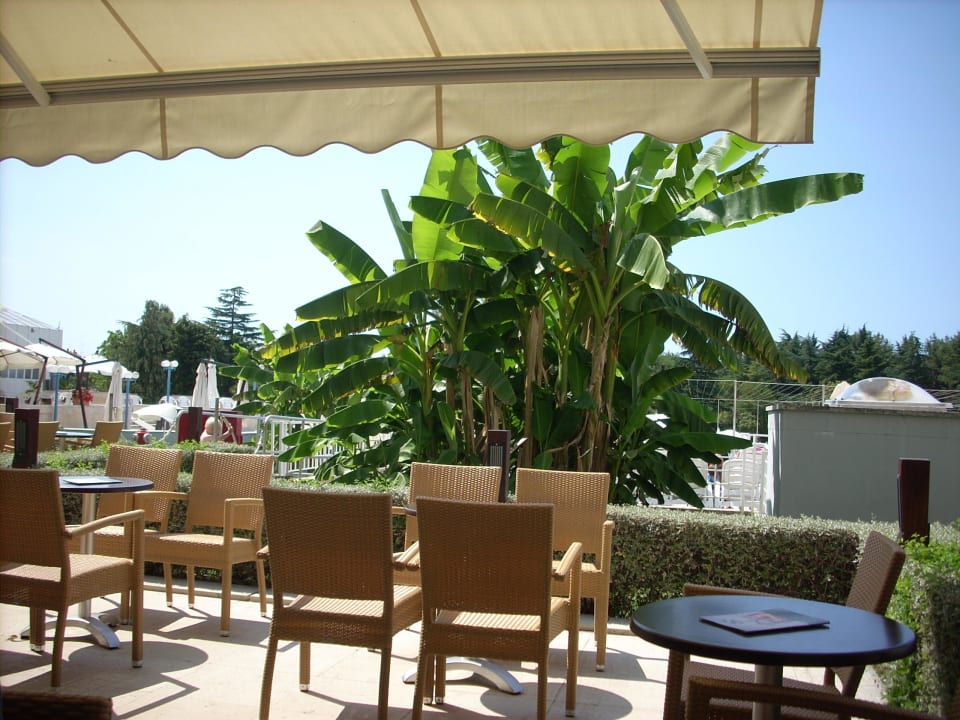 Lobby Bar / Pool Bar Valamar Parentino Hotel