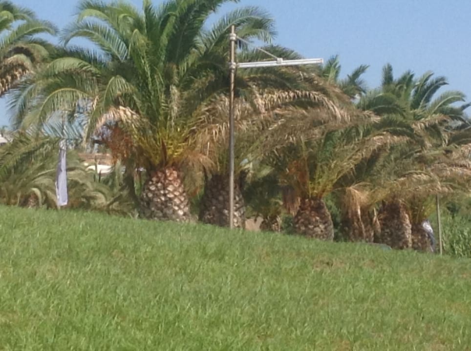 Gartenanlage Atlantica Mikri Poli Kos