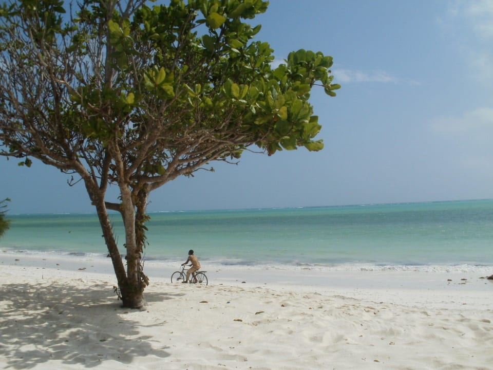 Sansibar Neptune Pwani Beach Resort & Spa