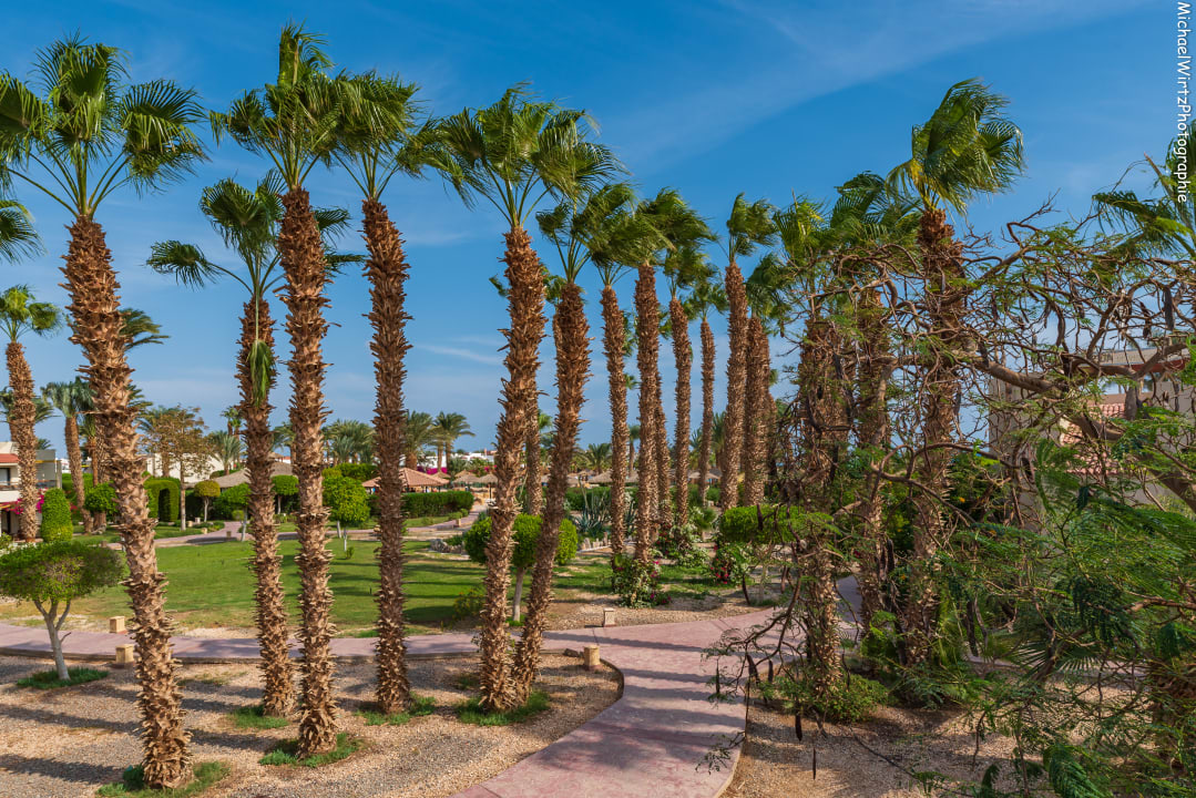 Ausblick Lotus Bay Beach Resort